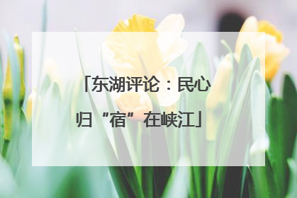 东湖评论：民心归“宿”在峡江