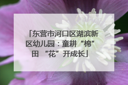 东营市河口区湖滨新区幼儿园：童耕“棉”田 “花”开成长