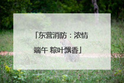 东营消防：浓情端午 粽叶飘香
