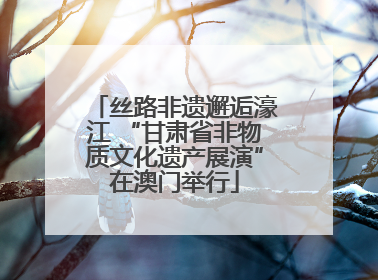 丝路非遗邂逅濠江 “甘肃省非物质文化遗产展演”在澳门举行