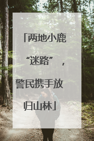 两地小鹿“迷路”，警民携手放归山林