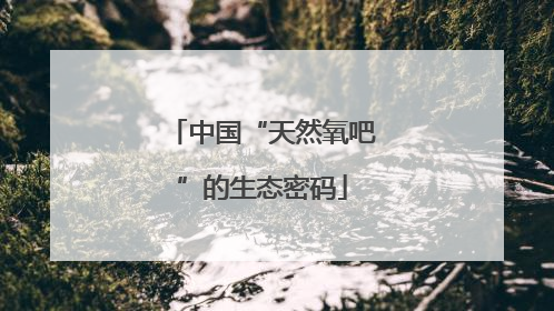 中国“天然氧吧”的生态密码
