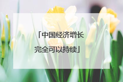 中国经济增长完全可以持续