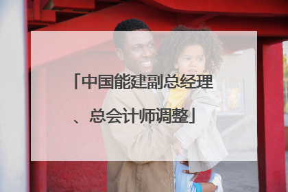 中国能建副总经理、总会计师调整