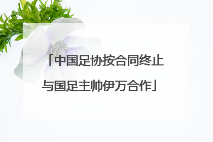 中国足协按合同终止与国足主帅伊万合作