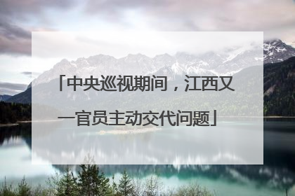 中央巡视期间，江西又一官员主动交代问题