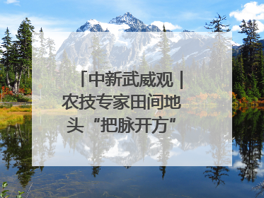 中新武威观｜农技专家田间地头“把脉开方”送“及时雨”