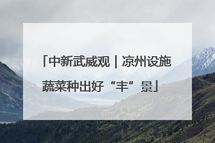 中新武威观｜凉州设施蔬菜种出好“丰”景
