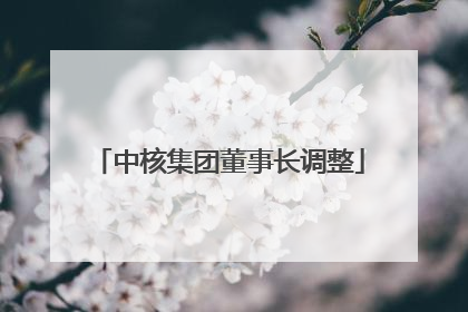 中核集团董事长调整