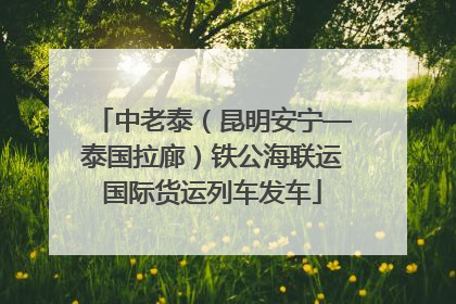 中老泰（昆明安宁—泰国拉廊）铁公海联运国际货运列车发车