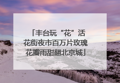 丰台玩“花”活 花街夜市百万片玫瑰花瓣雨甜翻北京城