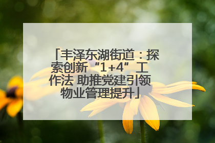 丰泽东湖街道：探索创新“1+4”工作法 助推党建引领物业管理提升