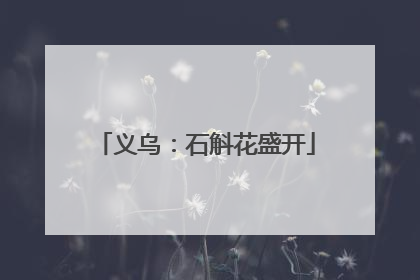 义乌：石斛花盛开