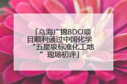 乌海广锦BDO项目顺利通过中国化学“五星级标准化工地”现场初评