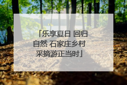 乐享夏日 回归自然 石家庄乡村采摘游正当时