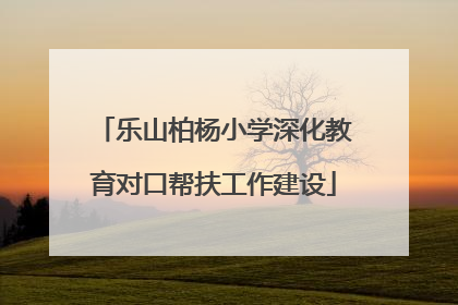 乐山柏杨小学深化教育对口帮扶工作建设