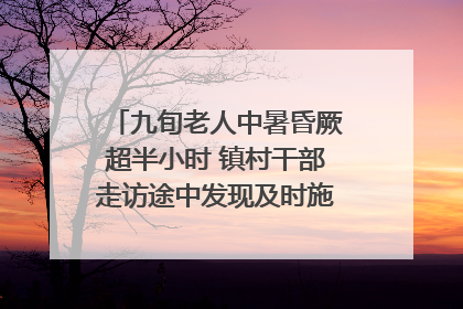 九旬老人中暑昏厥超半小时 镇村干部走访途中发现及时施救｜看见正能量