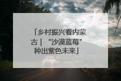 乡村振兴看内蒙古｜“沙漠蓝莓”种出紫色未来