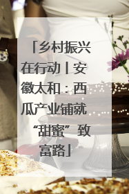 乡村振兴在行动丨安徽太和：西瓜产业铺就“甜蜜”致富路