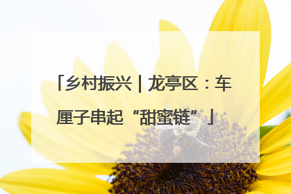 乡村振兴｜龙亭区：车厘子串起“甜蜜链”
