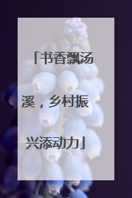 书香飘汤溪，乡村振兴添动力