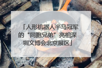 人形机器人半马冠军的“同胞兄弟”亮相深圳文博会北京展区