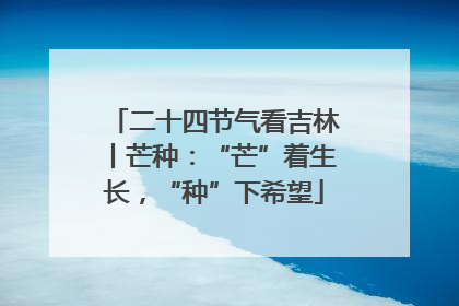 二十四节气看吉林丨芒种：“芒”着生长，“种”下希望
