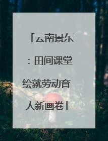 云南景东：田间课堂绘就劳动育人新画卷