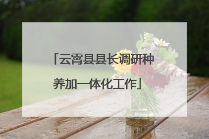 云霄县县长调研种养加一体化工作