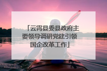 云霄县委县政府主要领导调研党建引领国企改革工作