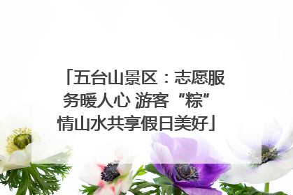 五台山景区：志愿服务暖人心 游客“粽”情山水共享假日美好