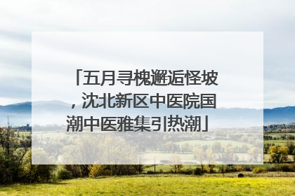 五月寻槐邂逅怪坡，沈北新区中医院国潮中医雅集引热潮