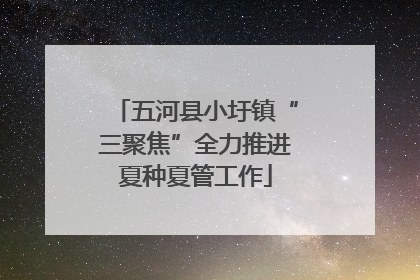 五河县小圩镇“三聚焦”全力推进夏种夏管工作