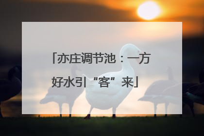 亦庄调节池：一方好水引“客”来