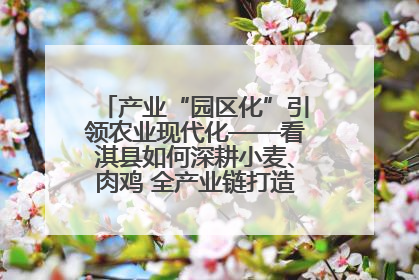 产业“园区化”引领农业现代化——看淇县如何深耕小麦、肉鸡 全产业链打造现代农业产业园