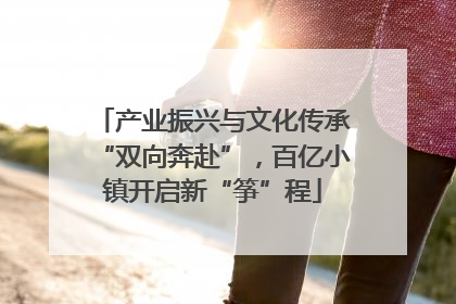 产业振兴与文化传承“双向奔赴”，百亿小镇开启新“筝”程