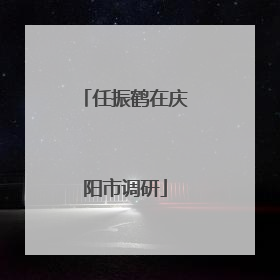 任振鹤在庆阳市调研