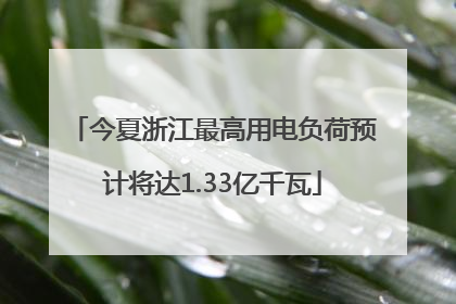 今夏浙江最高用电负荷预计将达1.33亿千瓦