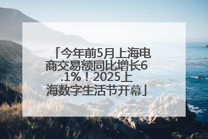 今年前5月上海电商交易额同比增长6.1%！2025上海数字生活节开幕