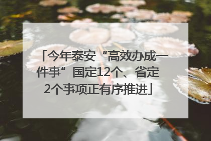 今年泰安“高效办成一件事”国定12个、省定2个事项正有序推进
