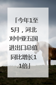 今年1至5月，河北对中亚五国进出口总值同比增长1.1倍