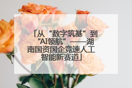 从“数字筑基”到“AI领航”——湖南国资国企竞速人工智能新赛道
