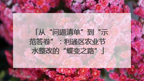 从“问题清单”到“示范答卷”：利通区农业节水整改的“蝶变之路”