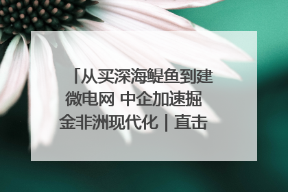 从买深海鳀鱼到建微电网 中企加速掘金非洲现代化｜直击中非经贸博览会