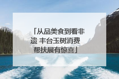 从品美食到看非遗 丰台玉树消费帮扶展有惊喜