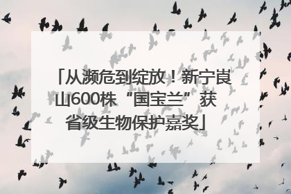 从濒危到绽放！新宁崀山600株“国宝兰”获省级生物保护嘉奖