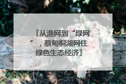 从渔网到“绿网”，蔡甸桐湖网住绿色生态经济