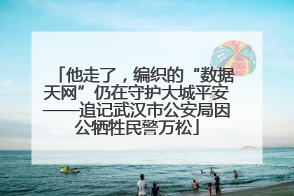 他走了，编织的“数据天网”仍在守护大城平安——追记武汉市公安局因公牺牲民警万松