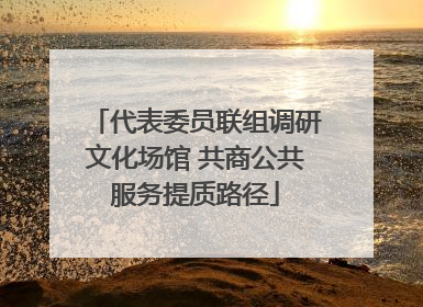 代表委员联组调研文化场馆 共商公共服务提质路径