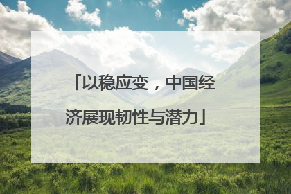 以稳应变，中国经济展现韧性与潜力